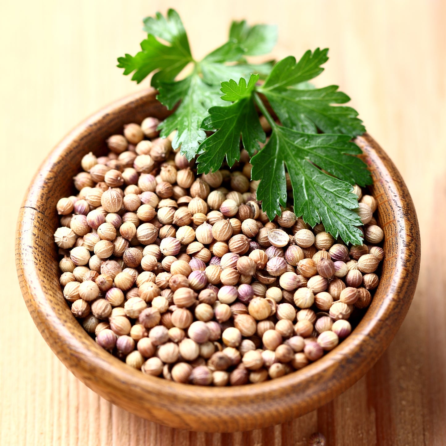 Coriander Seeds