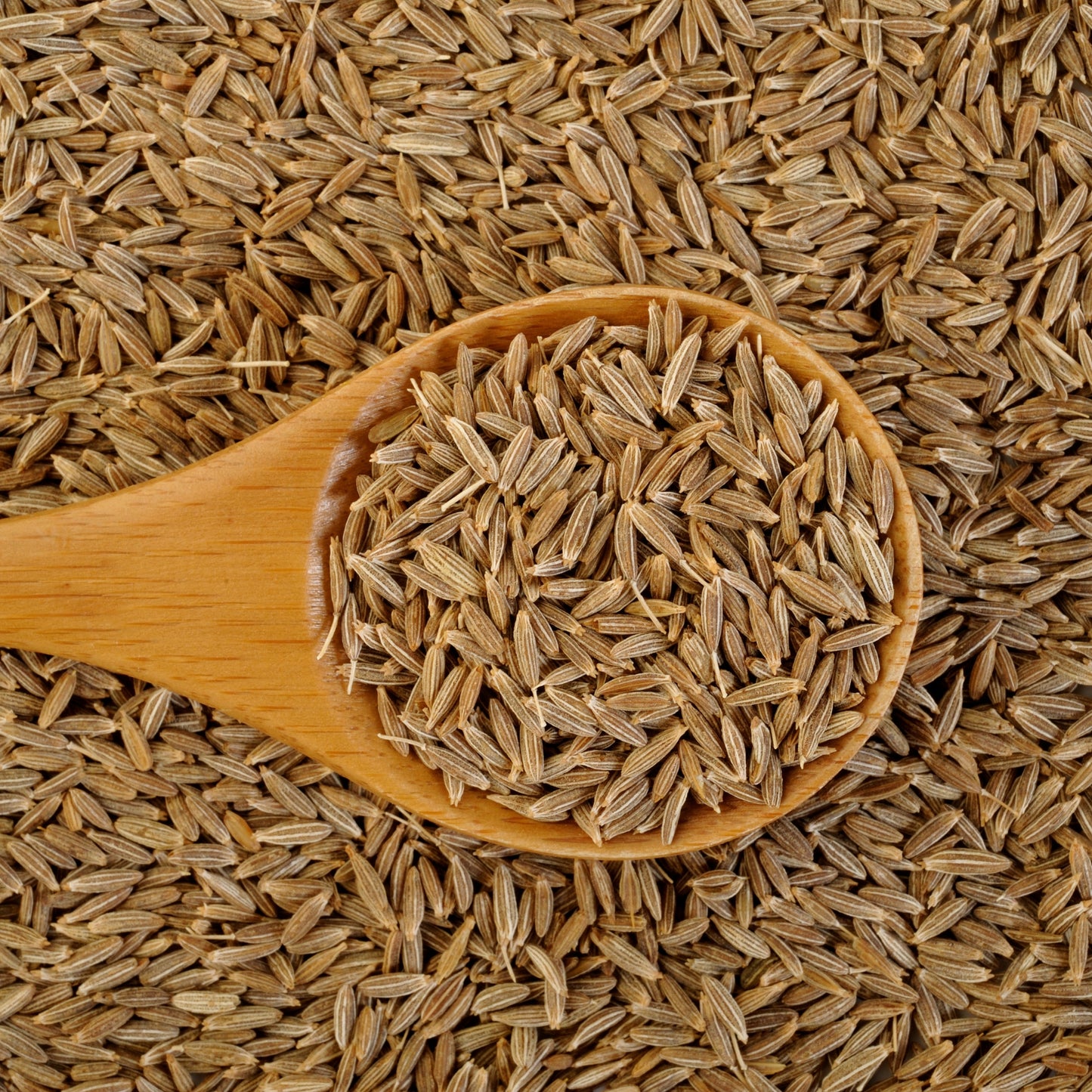 Jeera (Cumin)